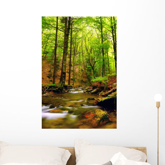Explosion Colors Forest Autumn Wall Mural