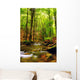 Explosion Colors Forest Autumn Wall Mural