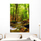 Explosion Colors Forest Autumn Wall Mural