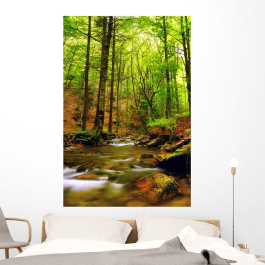 Explosion Colors Forest Autumn Wall Mural