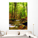 Explosion Colors Forest Autumn Wall Mural