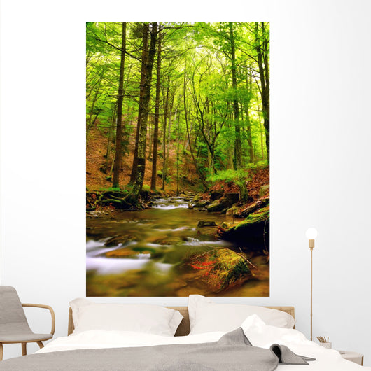 Explosion Colors Forest Autumn Wall Mural
