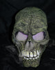 Smoking Skull Wall Mural