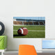 American Football on Field Wall Mural