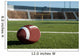American Football on Field Wall Mural