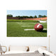 Closeup of American Football  on Field Wall Mural
