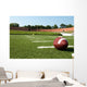 Closeup of American Football  on Field Wall Mural
