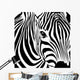 Zebra Wall Mural