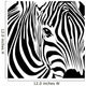 Zebra Wall Mural