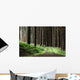 Trees and Forest Wall Decal