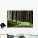 Trees and Forest Wall Decal