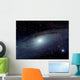 Andromeda Wall Decal