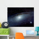 Andromeda Wall Decal