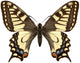 Yellow Butterfly Machaon Wall Decal