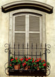 window Wall Mural