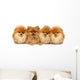 Thee Imposters