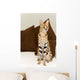 Serval Wall Mural