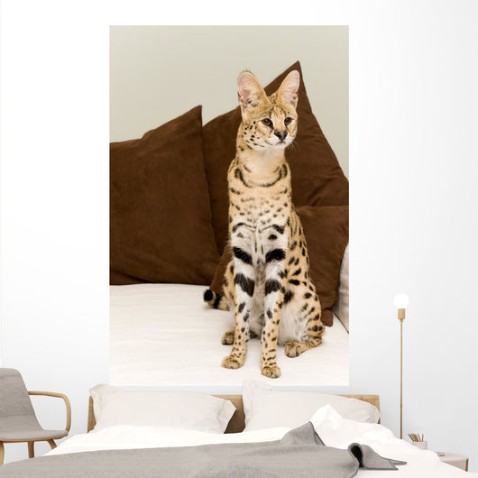 Serval Wall Mural