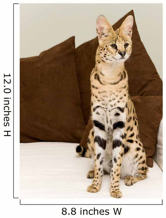 Serval Wall Mural