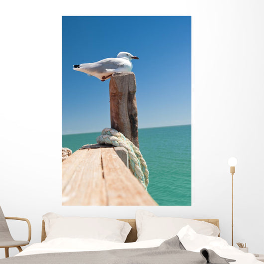 Seagull