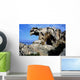 Palau Roccia Dell'orso Wall Decal