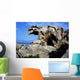 Palau Roccia Dell'orso Wall Decal