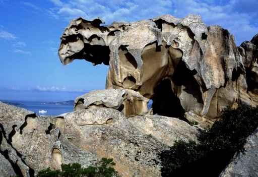 Palau Roccia Dell'orso Wall Decal