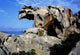 Palau Roccia Dell'orso Wall Decal