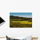 Field of Green Grass Wall Mural