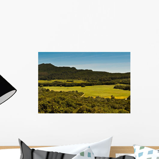 Field of Green Grass Wall Mural