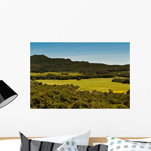 Field of Green Grass Wall Mural