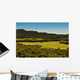 Field of Green Grass Wall Mural