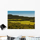 Field of Green Grass Wall Mural