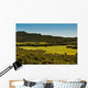 Field of Green Grass Wall Mural