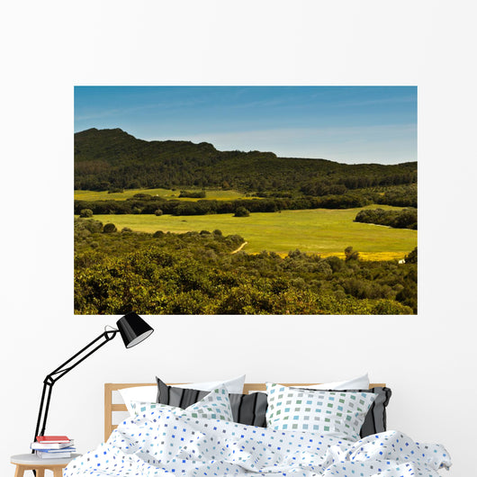 Field of Green Grass Wall Mural