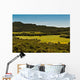 Field of Green Grass Wall Mural