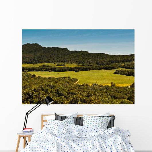 Field of Green Grass Wall Mural