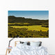 Field of Green Grass Wall Mural