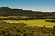 Field of Green Grass Wall Mural