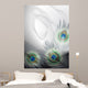Background with peacock feathers Wall Mural