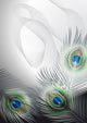Background with peacock feathers Wall Mural