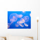 Jellyfish Wall Mural