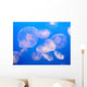 Jellyfish Wall Mural