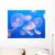 Jellyfish Wall Mural