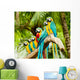 Group Macaw