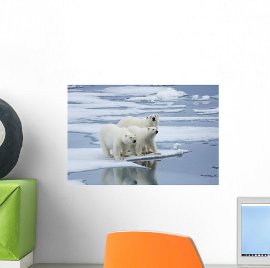 Polar Bear Yearling Cubs Wall Mural