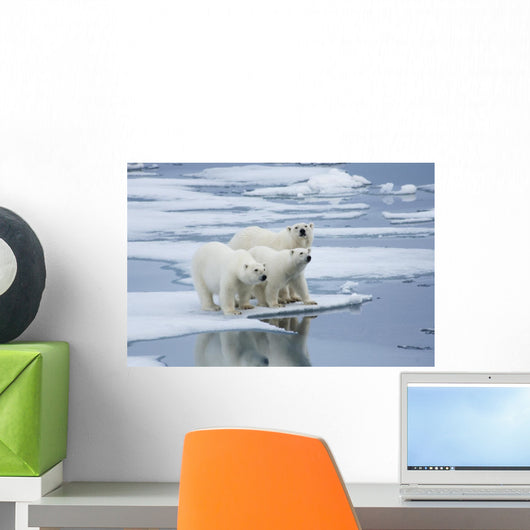 Polar Bear Yearling Cubs Wall Mural