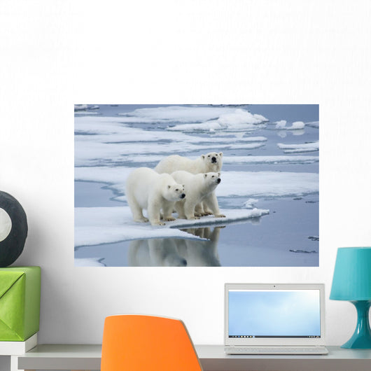 Polar Bear Yearling Cubs Wall Mural