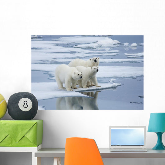 Polar Bear Yearling Cubs Wall Mural