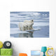Polar Bear Yearling Cubs Wall Mural